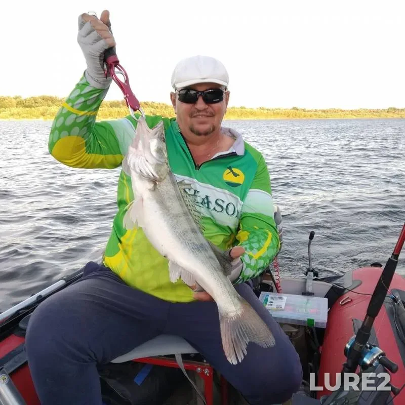 Pike, Zander — Akhtuba, Jun 27, 2019