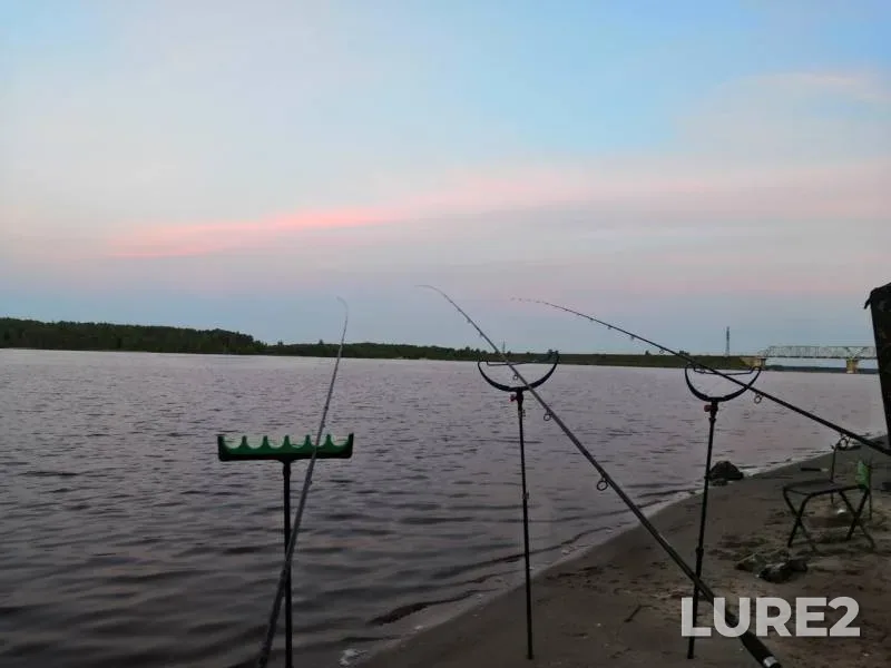 Bream — Volga, May 24, 2019