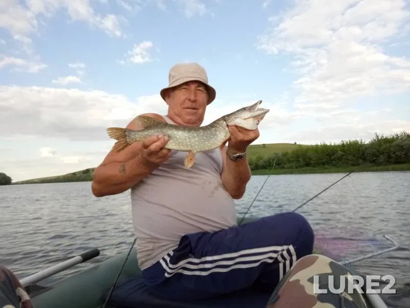Pike — Don, Jul 19, 2018