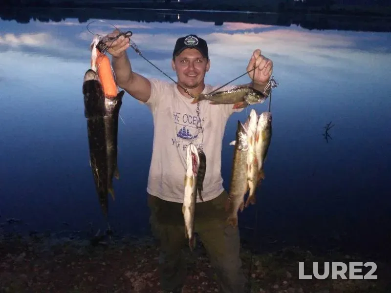 Perch, Pike — Severnaya Unga, Sep 17, 2019