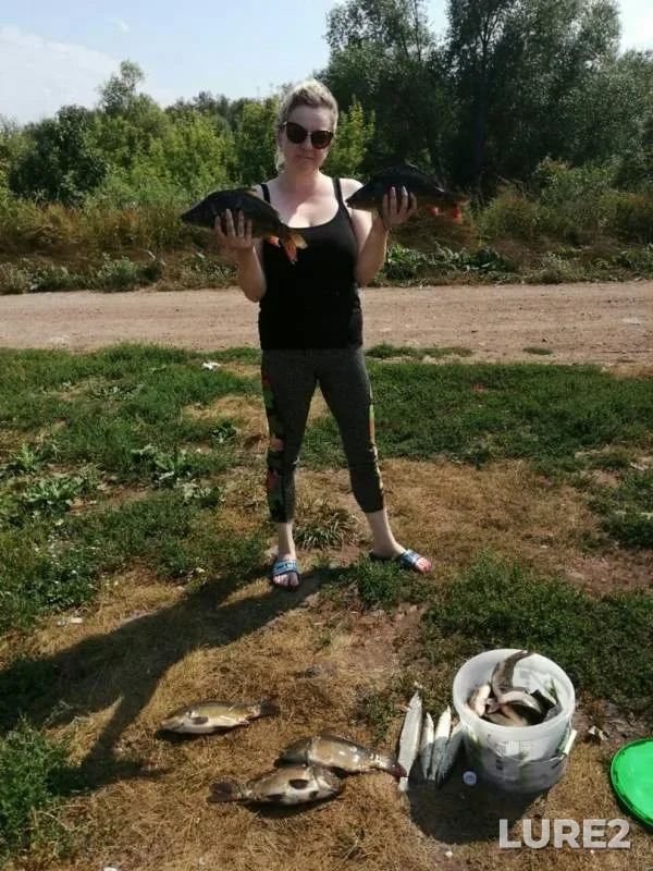 Carp, Pike — Severnaya Unga, Sep 17, 2019