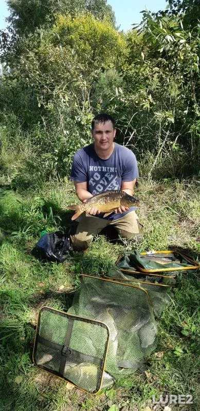 Carp — Severnaya Unga, Aug 29, 2019