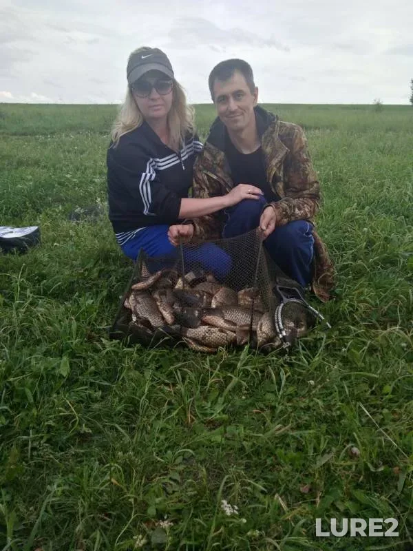 Crucian carp — Kemerovskaya oblast, Aug 24, 2019