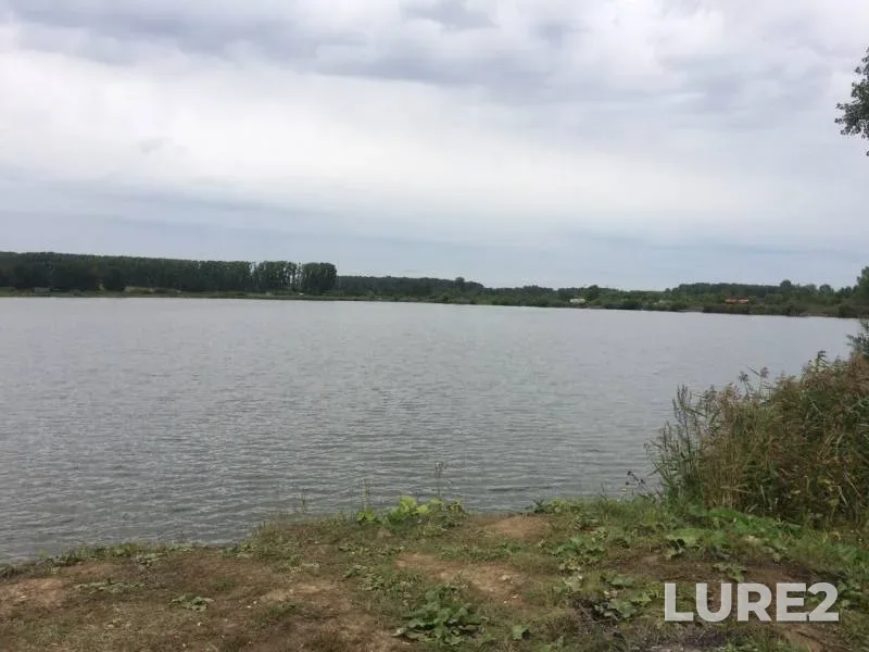 Pike — Severnaya Unga, Aug 22, 2019