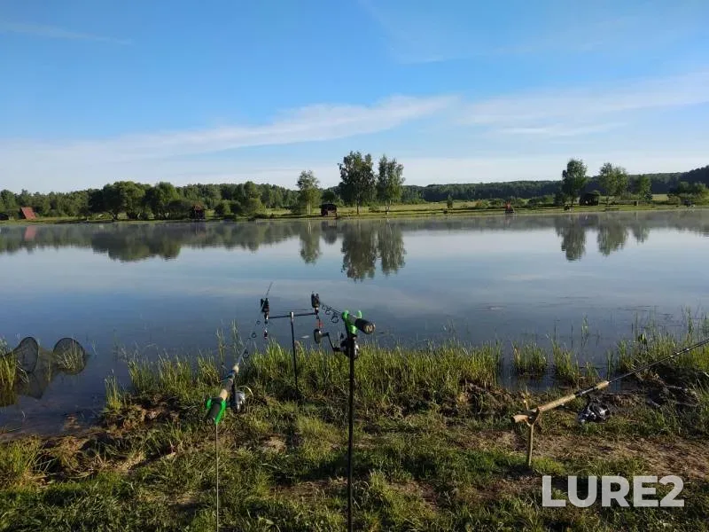 Carp — Moskovskaya oblast, gorodskoy okrug Chekhov, May 27, 2018