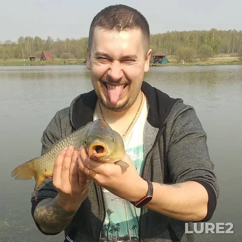 Carp — Moskovskaya oblast, gorodskoy okrug Chekhov, Apr 27, 2019