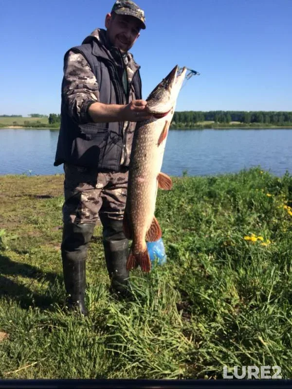 Pike — Severnaya Unga, Jun 05, 2019