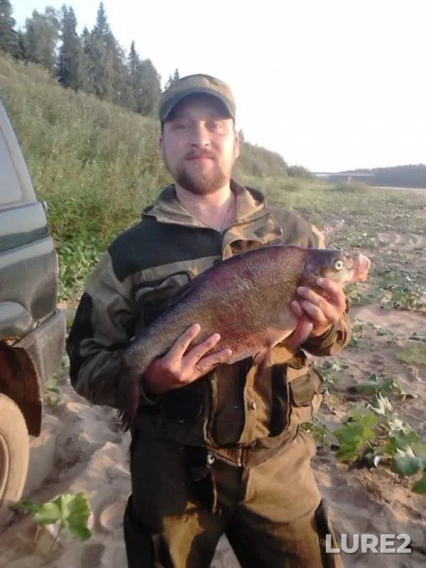 Bream — Vaga, Sep 13, 2016