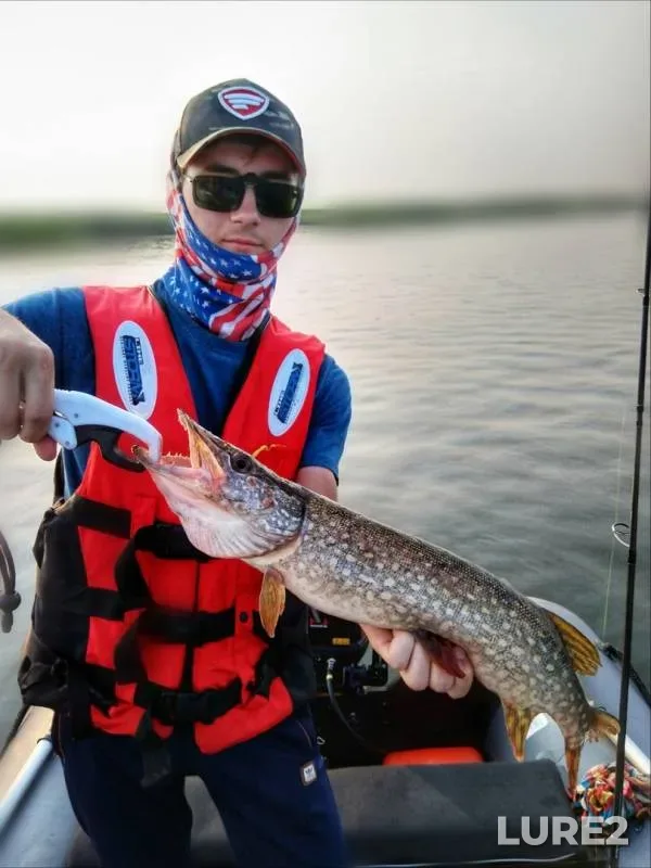 Perch, Pike — Ik, Jul 26, 2019