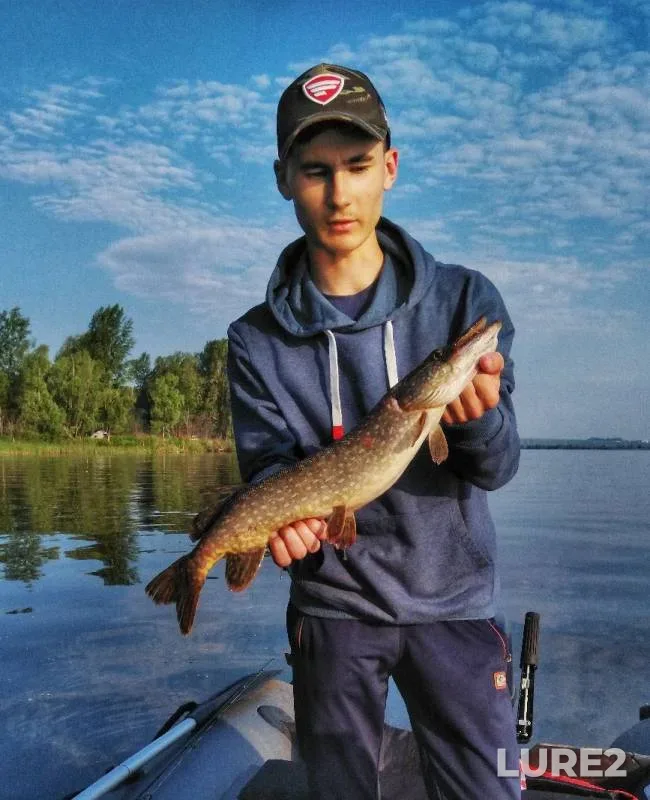 Perch, Pike — Kama, Jun 24, 2019
