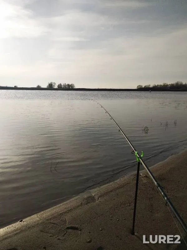 Burbot, White bream — Belaya, May 06, 2019