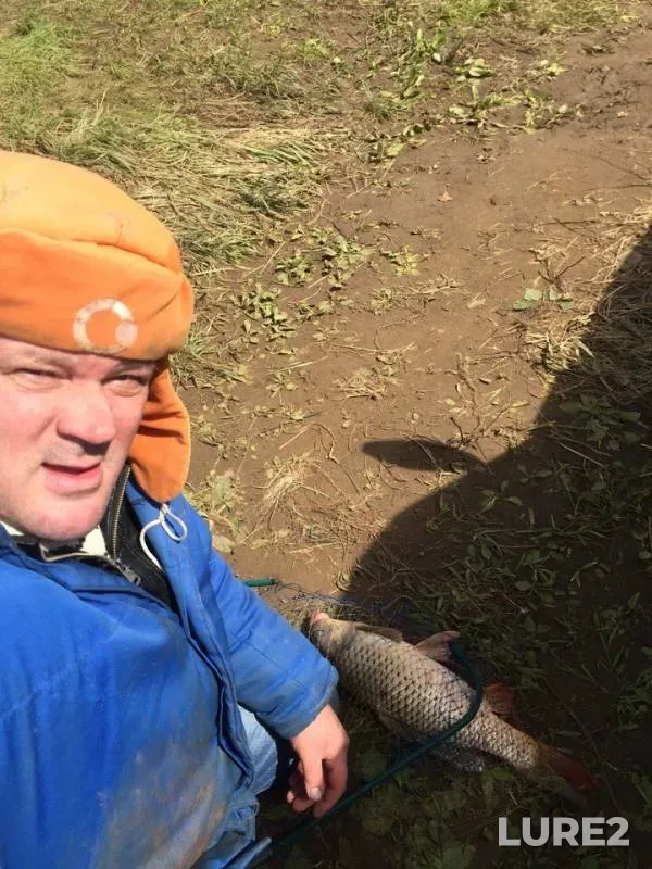 Crucian carp — Kama, Jun 04, 2018