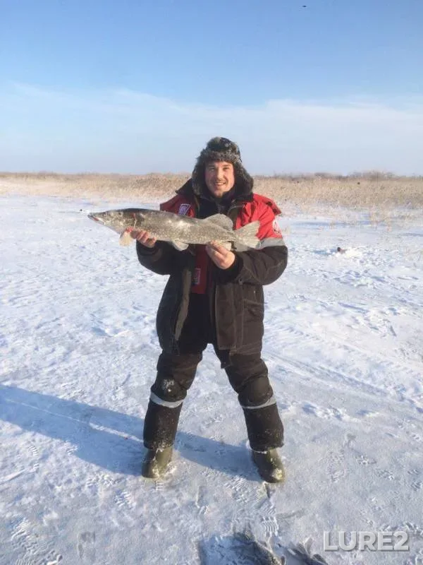 Pike — Ik, Feb 18, 2018