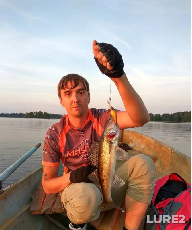 Pike, Zander — Leningradskaya oblast, Priozerskiy rayon, Aug 22, 2016