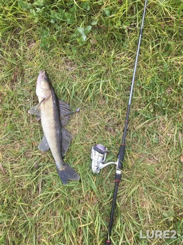 Zander — Desnogorskoye, Sep 25, 2019