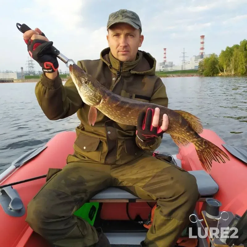 Pike — Desna, Sep 09, 2019