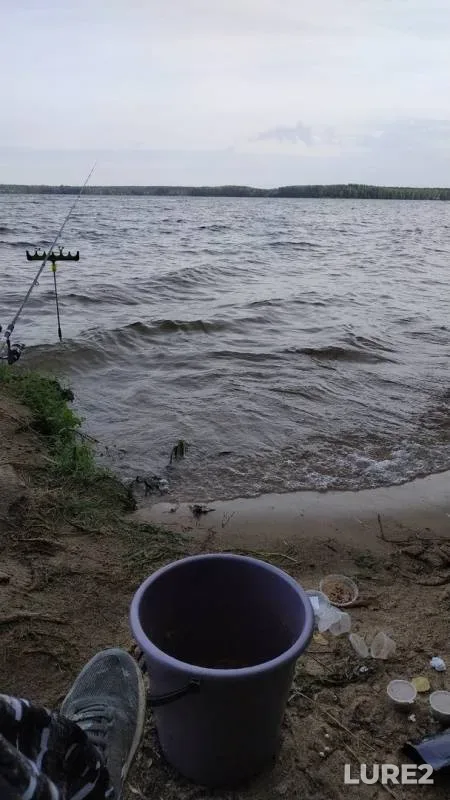 Bream, Crucian carp — Desna, Aug 27, 2019
