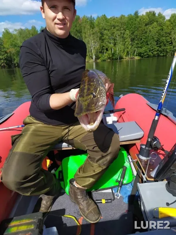 Pike — Desna, Aug 24, 2019