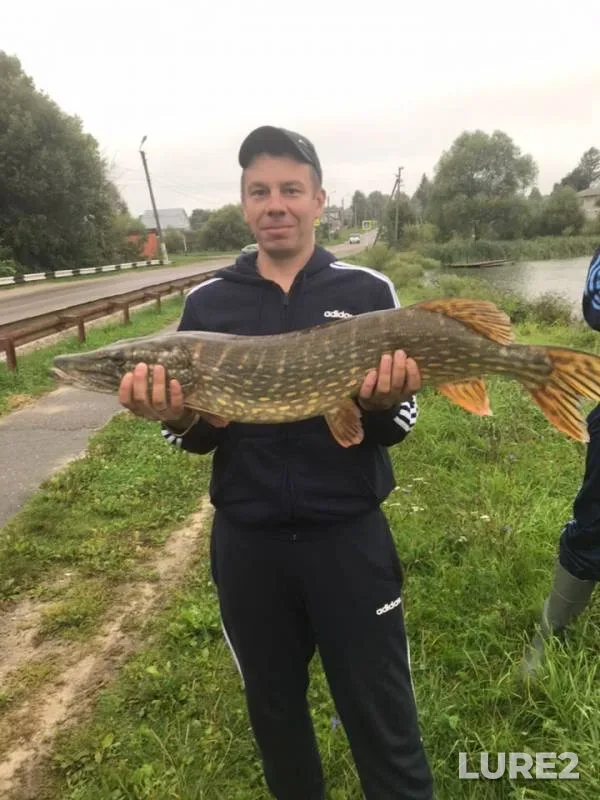 Pike — Buyanovskiy, Aug 18, 2019