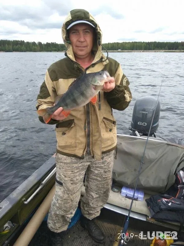 Perch — Prismara, Aug 16, 2019