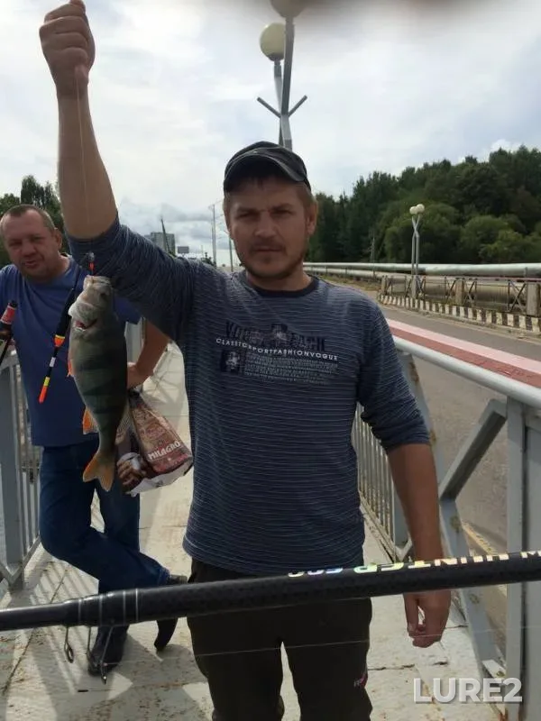 Perch — Desnogorskoye, Jul 17, 2019