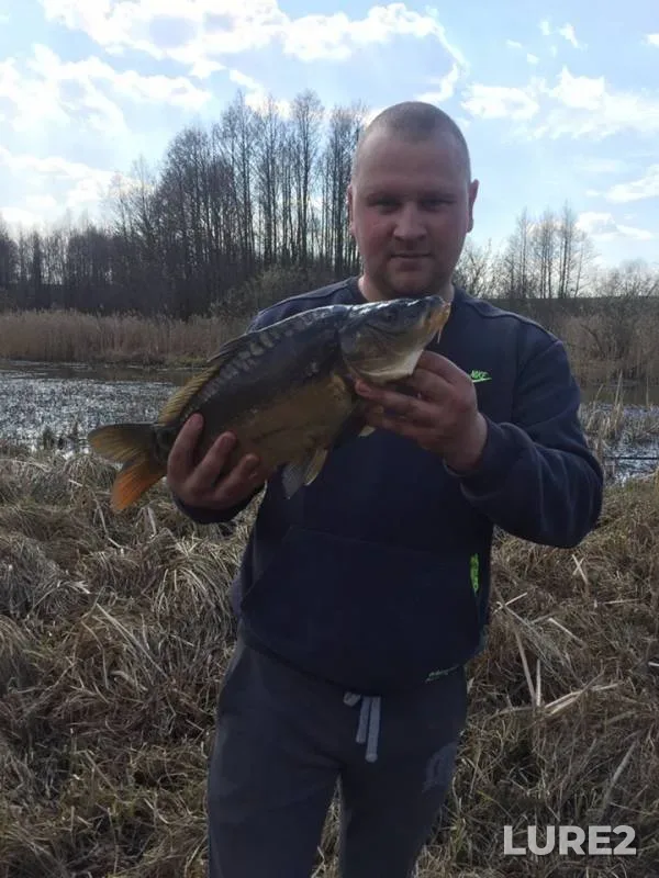 Carp, Roach — Smolenskaya oblast, Apr 18, 2019