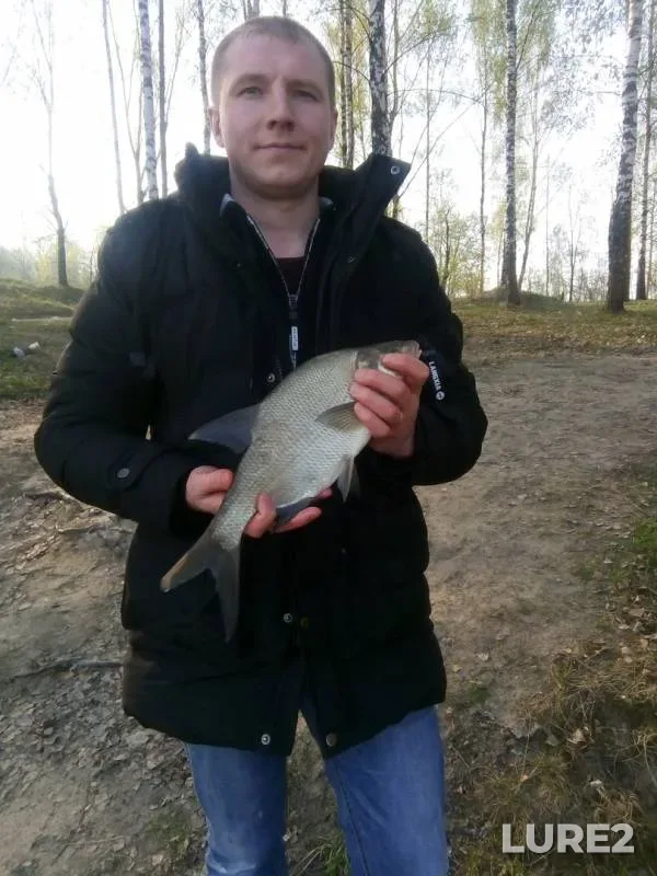 Bream — Desna, Apr 27, 2019