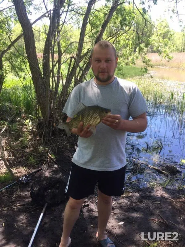 Crucian carp — Smolenskaya oblast, May 19, 2019