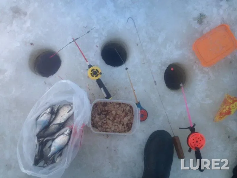 Bream — Desnogorskoye, Mar 22, 2018