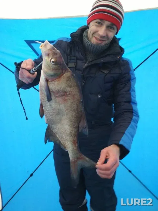 Bream — Desnogorskoye, Feb 10, 2019
