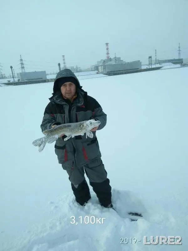 Pike — Desna, Jan 27, 2019