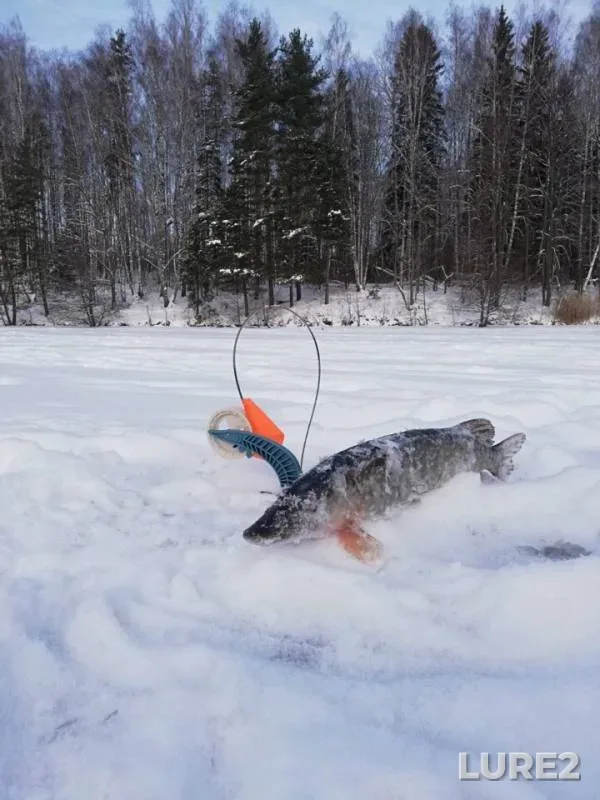 Bream, Pike — Desna, Jan 10, 2019