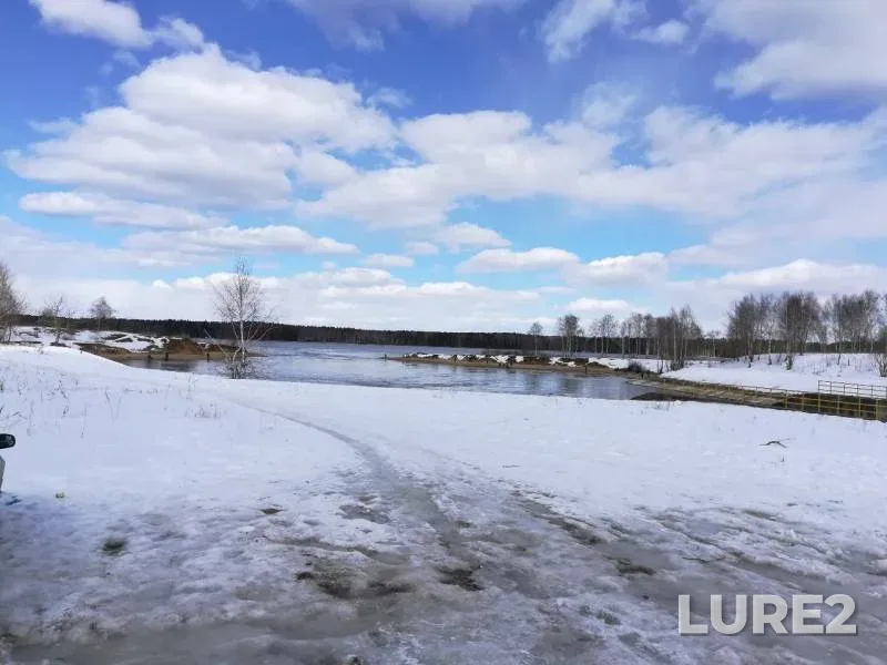 Roach — Desna, Mar 30, 2018