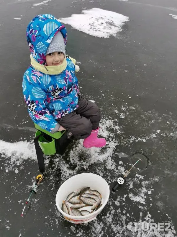 Perch — Omskaya oblast, Omskiy rayon, Nov 17, 2019