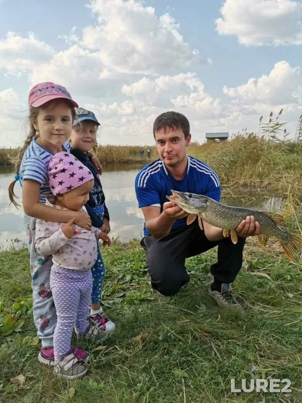 Pike — Omskaya oblast, Omskiy rayon, Sep 15, 2019