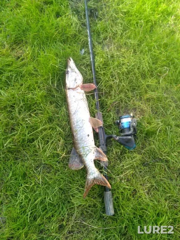 Pike — Om, Sep 11, 2019