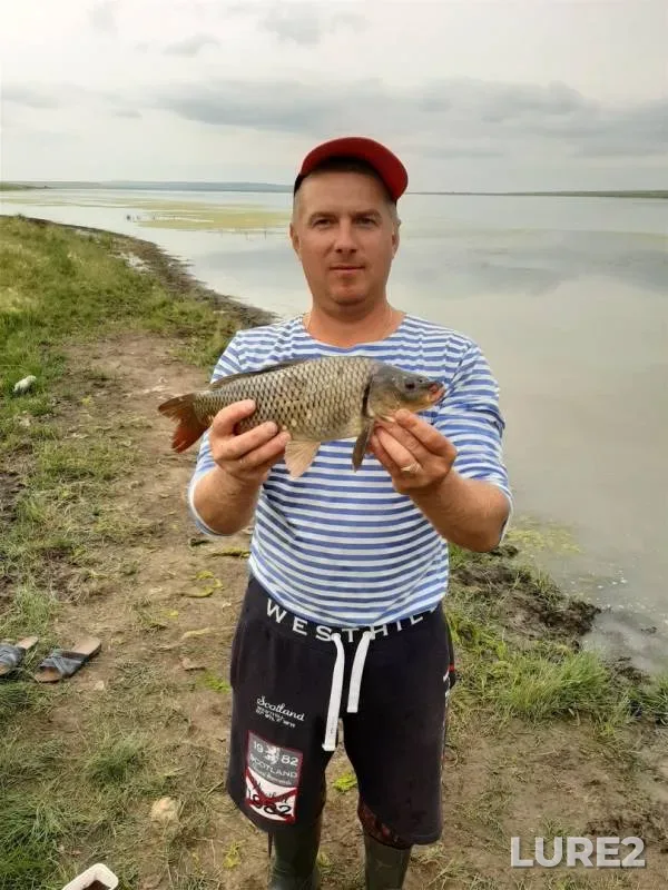 Crucian carp — Bugayevo, Jul 16, 2019