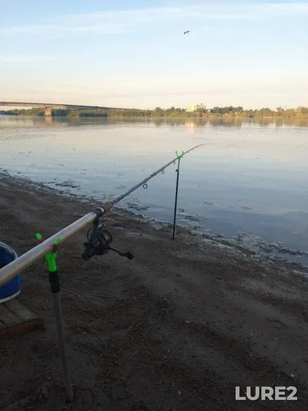 Bream — Irtysh, Jun 04, 2019