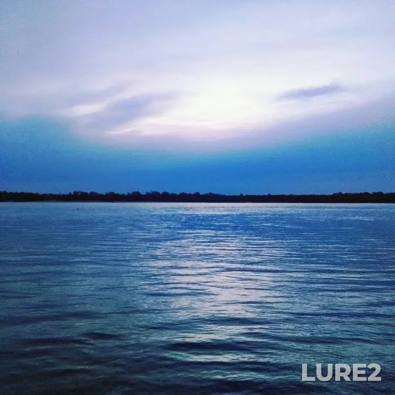 Zander — Ob, May 22, 2019