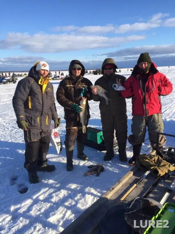 Bream, Zander — Kama, Mar 15, 2019