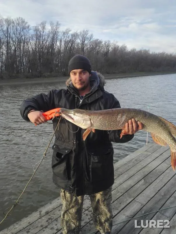 Pike — Irtysh, Oct 28, 2018