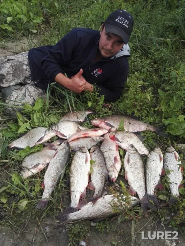 Bream, Ide — Irtysh, Sep 09, 2018
