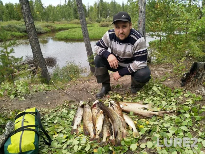 Pike — Vykhtopya, Aug 27, 2018