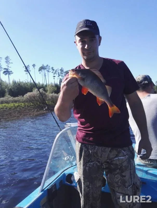 Perch, Pike — Fermovskoye, Aug 02, 2018