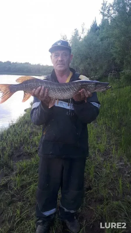 Pike — Kolekyegan, Jul 26, 2018