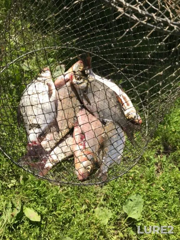 Bream, Ide — Kazarovka, Jul 22, 2018