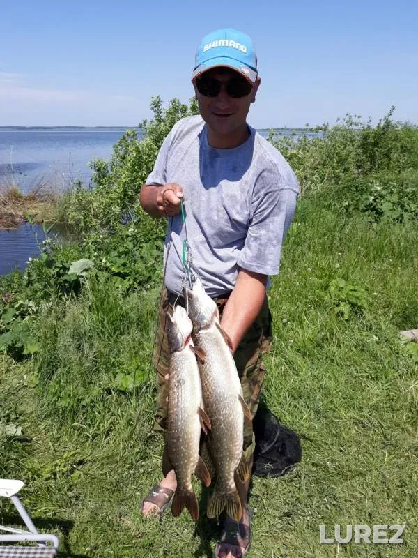 Pike — Tanayev, Jun 24, 2018