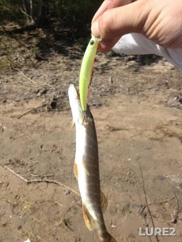Pike — Irtysh, Jun 13, 2018