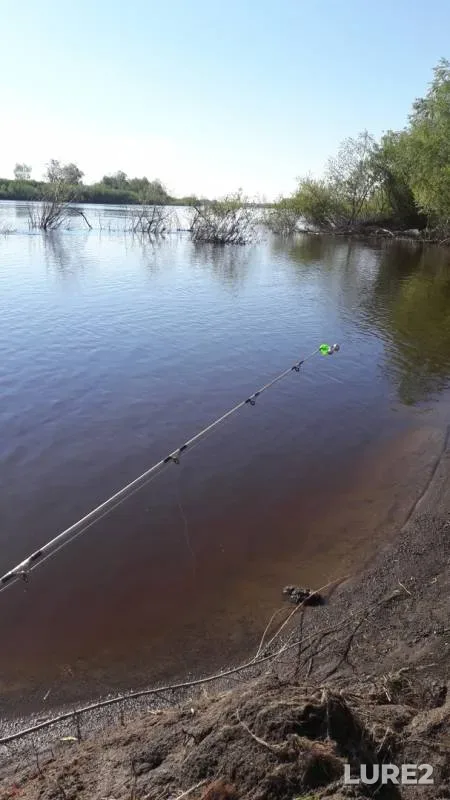Crucian carp, Perch — Tura, Jun 13, 2018