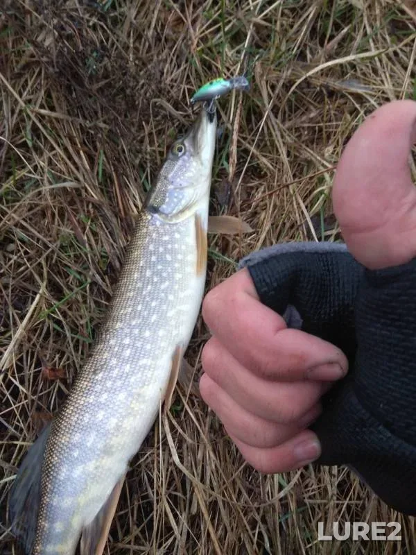 Pike — Spartak, May 08, 2018